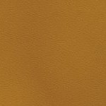 alabama crimson tide script a