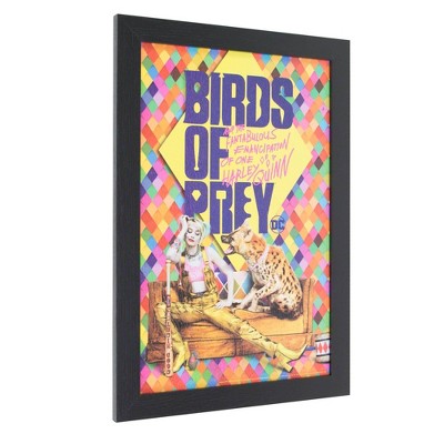 Licensed DC Comics Suicide Squad Birds of Prey Harley Quinn Framed Wall Art - Crystal Art Gallery