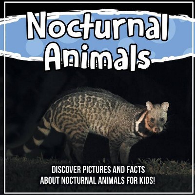 Nocturnal Animals - by  Bold Kids (Paperback)