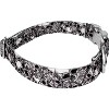 Country Brook Petz Premium Dog Collar - Halloween Collection - 3 of 4