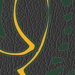 green bay packers