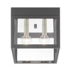 Livex Lighting Nyack 2 - Light Flush Mount in  Scandinavian Gray - 3 of 4