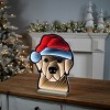 Holiday Dog Ekkolight 16.5"H - 2 of 4