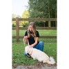 Country Brook Petz American Made Deluxe Nylon Dog Collar - 3 of 4