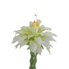 Nasitip 36''Tall Artificial Cactus, Realistic Faux Cactus Plant with White Planter, Fake Tree for Indoor & Outdoor Decor - 4 of 4