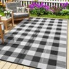Outdoor Rug Patio Rug Waterproof Plastic Straw Rug Modern Plaid Throw Carpet UV-Resistant Reversible Mat for Camping RV Deck Porch Picnic Balcony - 3 of 4