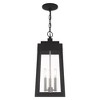 Livex Lighting Oslo 3 - Light Pendant in  Black - 3 of 4