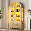 Vlsrka arched glass-door storage cabinet with LED lights,Wood - 2 of 4