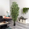 HomeStock  7 ft. Artificial Bamboo Tree in Pot for Indoor/Outdoor - 4 of 4