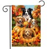 Briarwood Lane Fall Garden Flag 12x18 For Outdoor Fall Pumpkin Puppies For Fall Garden Flag Flags For Outside - 2 of 4