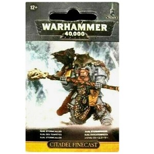 Njal Stormcaller In Terminator Armour Space Wolves Warhammer 40K - 1 of 2