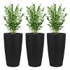 Okak 2 Pack Elegant Modern Faux Rattan Design Planter, Plastic Large Pot with Auto-Watering System for Home, Garden,Indoor/Outdoor - 2 of 4