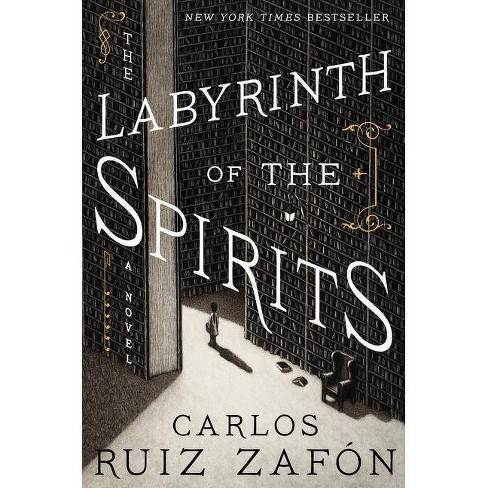 Image result for the labyrinth of the spirits