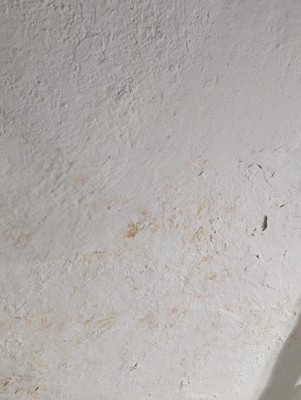 Guest review image 1 of 4, zoom in