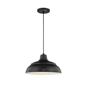 Millennium Lighting R Series 1 - Light Pendant in  Satin Black - 1 of 1