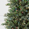 Balsam Hill 9' Color Clear LED Colorado Mountain Spruce Tree - 3 of 4