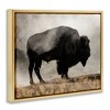Stupell Industries Powerful Bison Grazing Foggy Rural Pasture Photography Floating Frame Canvas Art, Gold, 31" x 25" - 2 of 4