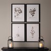 Plum & Post Framed Sepia-Tone Botanical Prints, Set Of 4 - 3 of 3