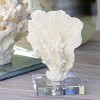 Park Hill Collection Maldives Faux Coral Accent Small - 2 of 4