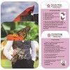 Meternally Favorite Things Spring Photo/Activity Cards - 2 of 3