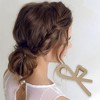 Unique Bargains Women's Simple Frosted Hair Clips 4.53"x2.36"x1.77" 1 Pc - 2 of 3