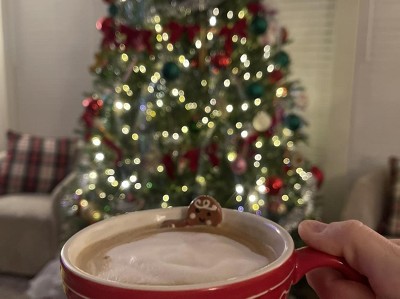 Guest review image 1 of 1, zoom in