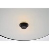 Elegant Lighting Hazen 2 light 12 inch Flat Black flush mount - 4 of 4