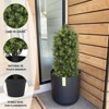 COWLOWN 3FT Artificial Boxwood Topiary Trees, Set of 2 - Faux Evergreen Plants for Outdoor Decor - 3 of 4