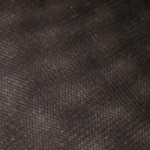 black hue shimmer
