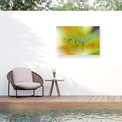 Trademark Fine Art - Juliana Nan Sunbeam III Matted Framed Art