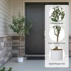 Orieon 4FT Faux Olive Tree with Planter, Silk Leaves & 14 Realistic Fruits, Bendable Stems, Indoor Outdoor Home Office - 2 of 4