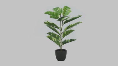 27" Tall Green and White Faux Rubber Plant in Black Pot
