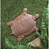 Cast Iron Turtle Stepping Stone - Zingz & Thingz - 2 of 4