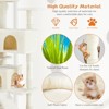 Mr Ironstone multi-functional cat tree house cat climbing frame, lounge and recreation area detachable toy - 4 of 4