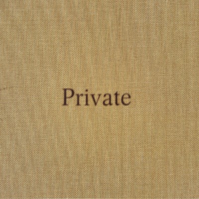 Tod Lippy: Private - (Paperback)
