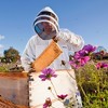 Outsunny Professional Beekeeping Suit for Men & Women, Cotton Beekeeper Outfit with Gloves, Ventilated Veil Hood, Jacket, XXL, Cream White - 2 of 4