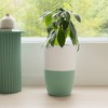 Dupray Bloom Air Purifier | Medical-Grade HEPA-13 Air Filtration - 3 of 4