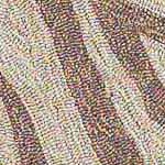 zebra brown