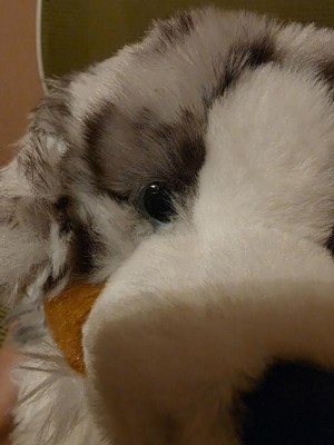 Guest review image 1 of 4, zoom in