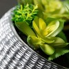 Sullivans Artificial 6" Succulent Cement Premade - 2 of 4