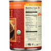 Amy's Organic Light in Sodium Spicy Chili - Case of 12/14.7 oz - 4 of 4