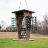 America's Favorite Green/Tan 2-In-1 Raw Peanut And Suet Feeder (9.96" X 9.96" X 14.04") - 4 of 4
