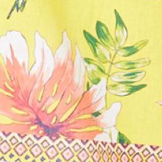 bright yellow hummingbird