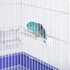 Prevue Pet Products Small Y Shaped Plastic Bird Perch 330 - 4 of 4