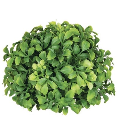 Sullivans Aglaia Half Orb Decorative Filler 5.5"H Green