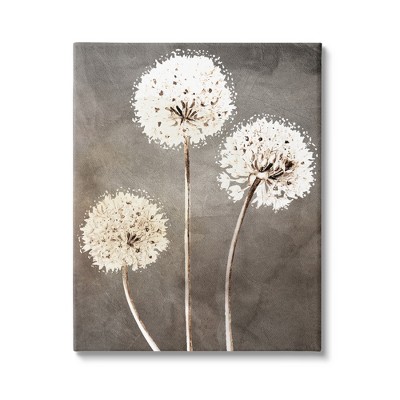 Stupell Industries Fluffy Dandelion Wildflowers Gallery Wrapped Canvas Wall Art