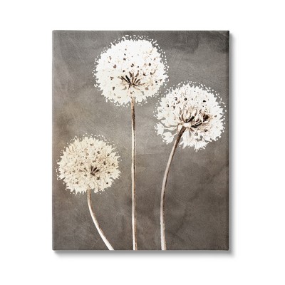 Stupell Industries Fluffy Dandelion Wildflowers Gallery Wrapped Canvas Wall  Art : Target