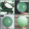 PartyWoo Balloons Sage Green Matte Dusty Olive Eucalyptus 12 Inch 50 pcs - 2 of 4