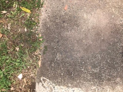 Guest review image 1 of 2, zoom in