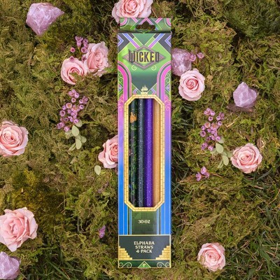 CharCharms (2) 4pk 30oz Water Bottle Straws Wicked 2 Elphaba